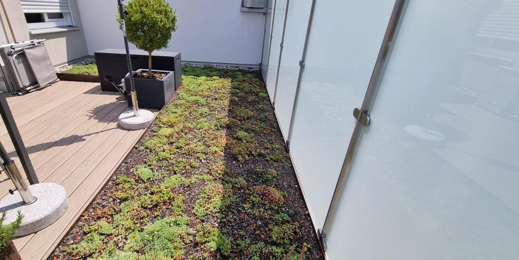 Traumhafte Neue Dachterrassenwohnung Am Soyener See Eksteriør bilde